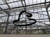 witch hat cookie cutter-6