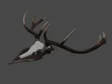 Deer Trophy-6