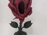 The Yawning Rose -4
