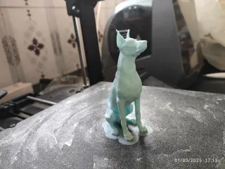 Doberman