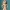 Moana Fan Art Figure – Inspirational Island Heroine 🌺✨