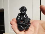 Monkey Fidget Critter-2