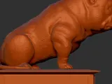 Exotic bully sitting-3