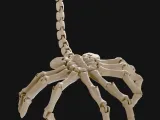 Articulated Facehugger Alien Fan Art-2