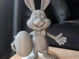 Mr. Bunny-0