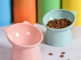 Cat Shape Pet Bowl,Elevated Tilted,Pet Decor Functional Bowl-1