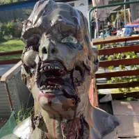 Rotter zombie-0