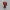 Marvel Comics Mini Deadpool (Wade Wilson)