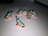 Fish beta flexi-2