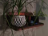Coliseo Pot-8