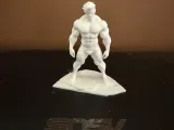 Body Biulder 5-1