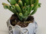 Pot Interior Decor Z-3