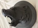RagingBear-3