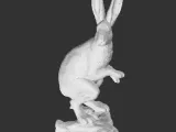 lapin-1