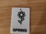 Spring Tag-1