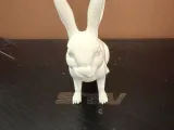 Jack Rabbit 01-4