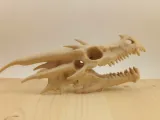 Crâne de dragon-4