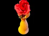 Wonky Elegance-3
