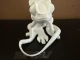 Lizard 3-2