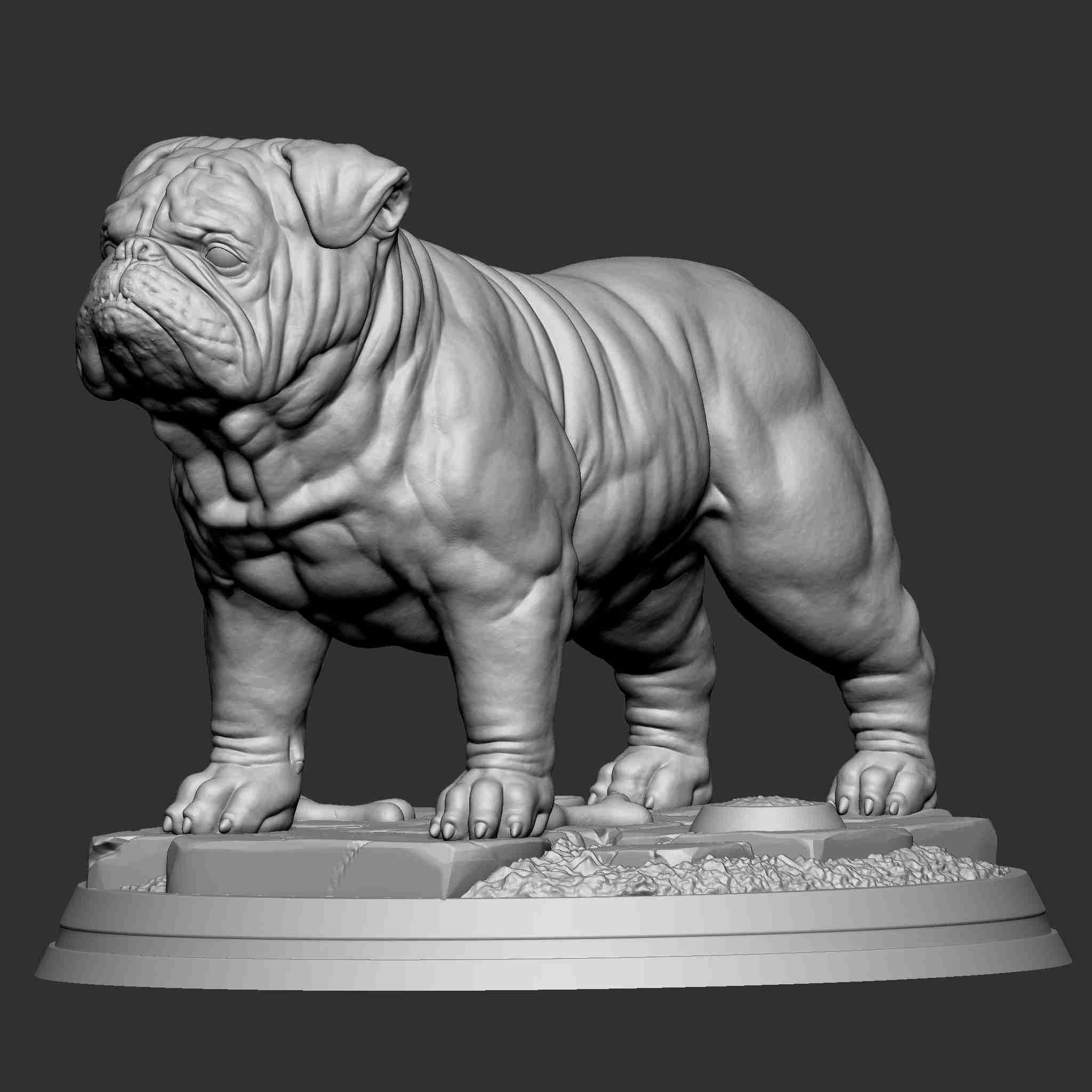 Cleveland Browns Bulldog - 3D Model by RogerDS