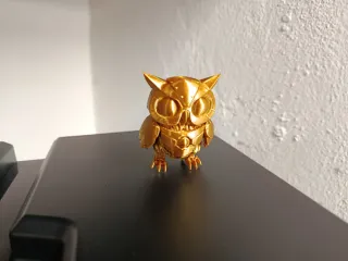 Robo OWL