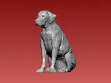 Greyhound - Boerboel Dog - 3D print-0