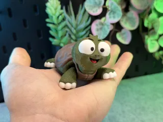 Articulated Cute Turtle