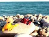 Articulated Crab-4