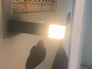 Torch light