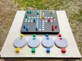 Ludo game set-3