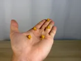 Mini Garlic Buddy-1