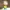 Morty Smith Chibi – Rick and Morty Collectible