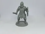 DNDテーブルトップゲーム-戦士.-2