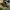 RC car RMT Land Rover T98 rear bumper