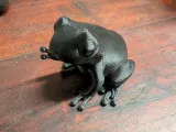Pfeilgiftfrosch-4