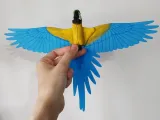 Flying Macaw-6