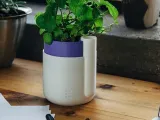 FlowerPOT-5