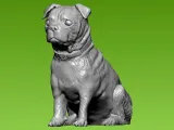 St. Bernard Dog statue - 3D print-2