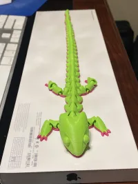 Digital Products Articulated Dragon 001-3