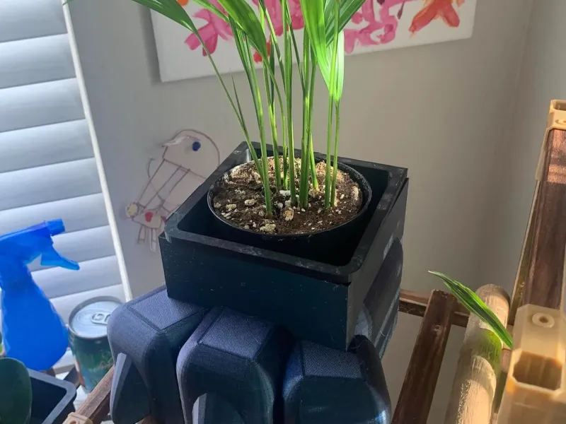 T-Rex Foot Pot