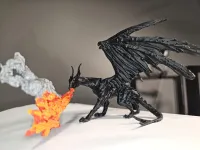 Black Dragon-0