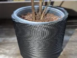 Accelerated Twist Planter-2