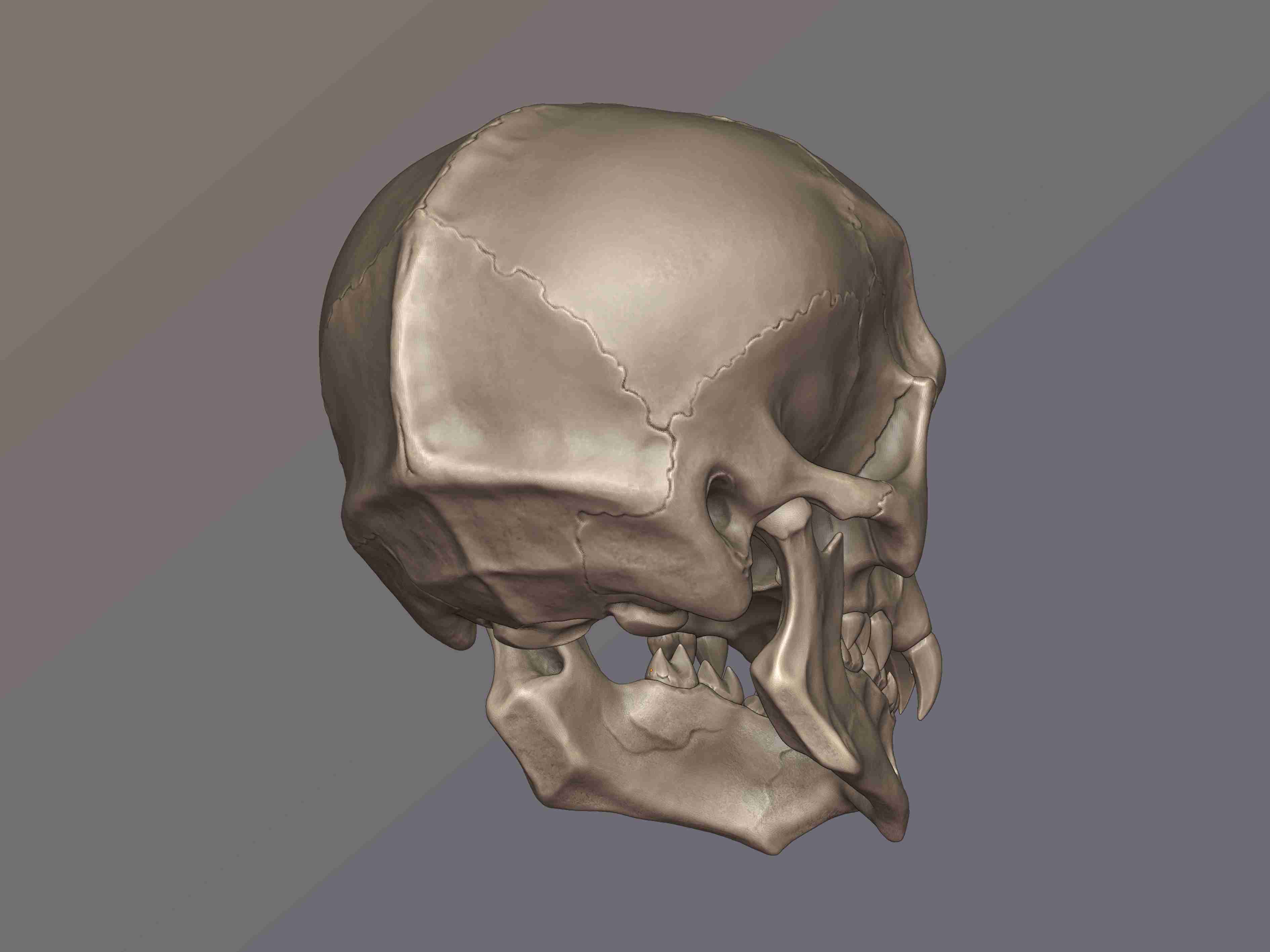 Vampire Monster Scull | 3D models download | Creality Cloud