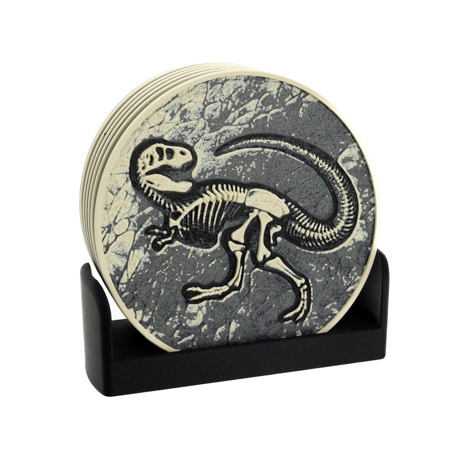 Dinosaur Fossil Coasters