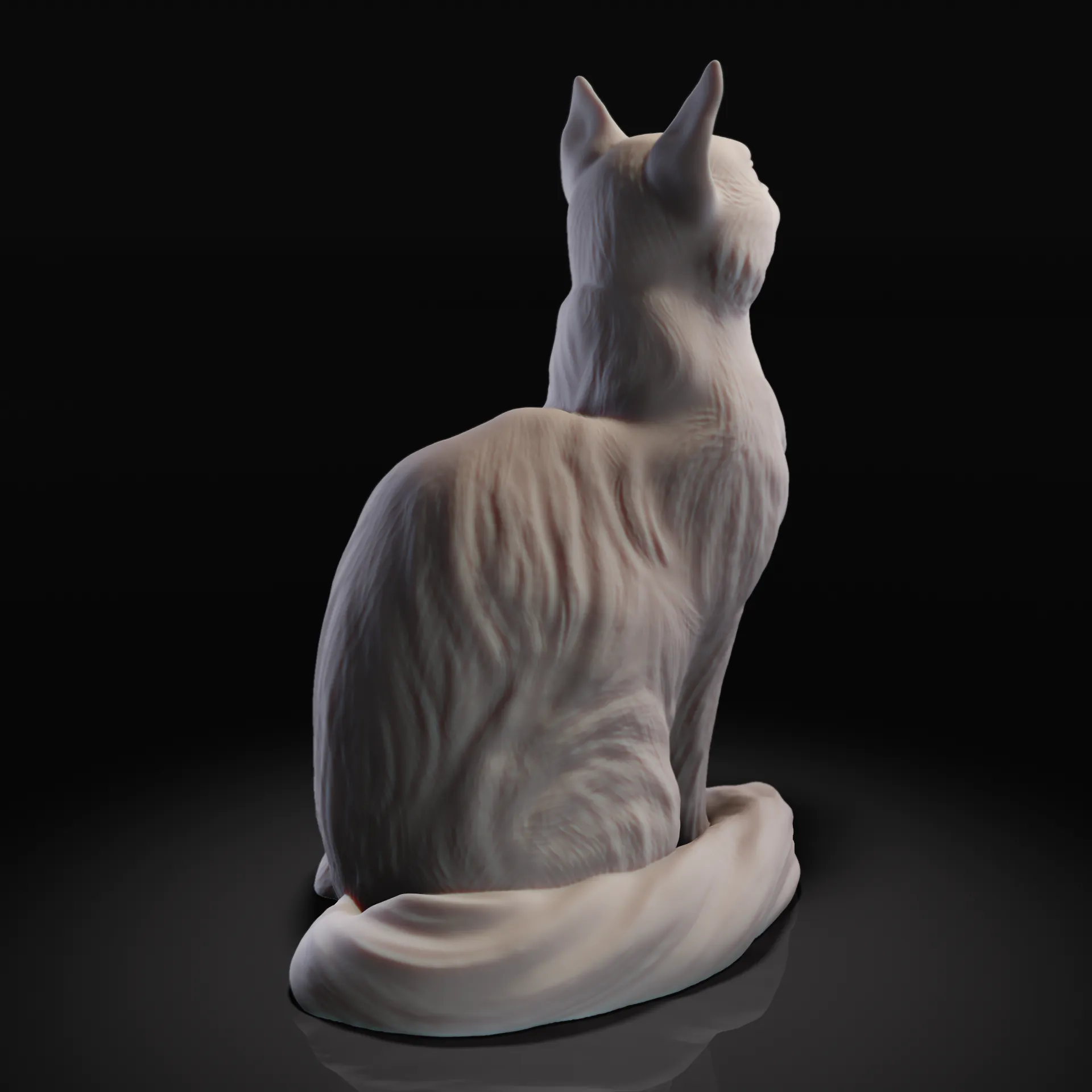 Sitting cat