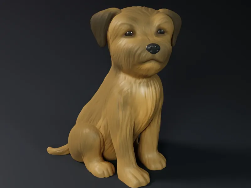 Cute Border Terrier Puppy