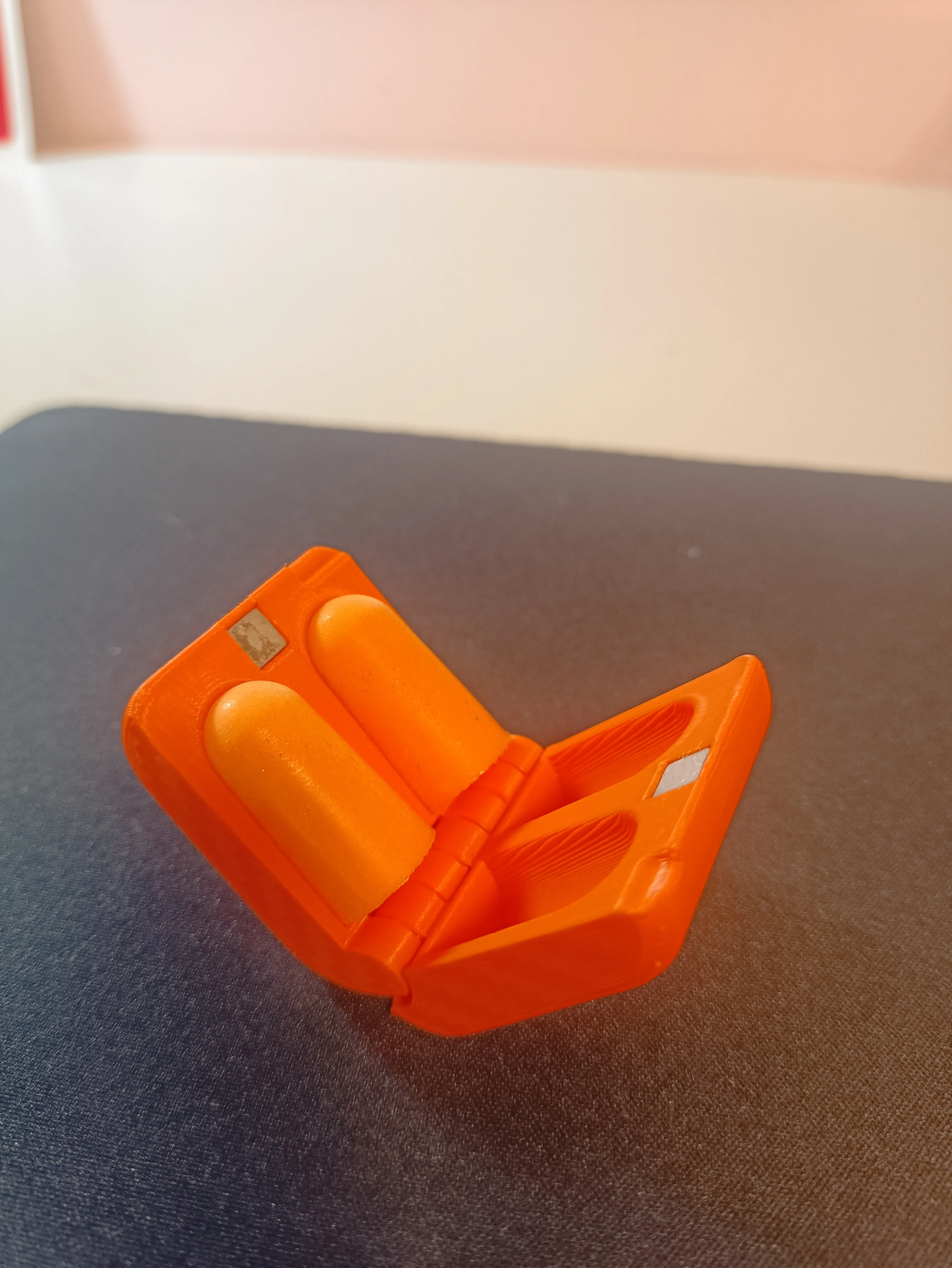 Earplug case