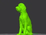 Labradoodle-4