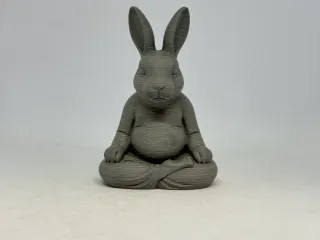 禅意兔子