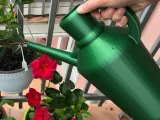 watering can ( size: small (0.5 liter) & large (3 liter) )-1